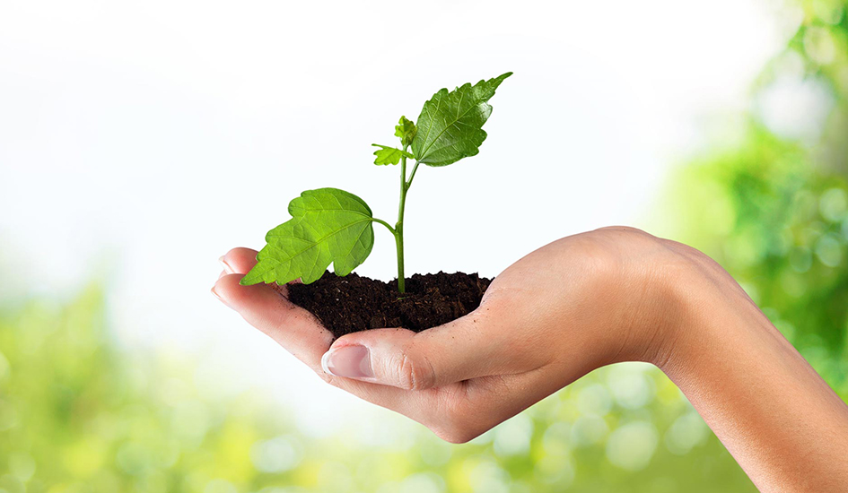 about Dried Vegetables exporter- Garon Dehydrates Pvt. Ltd.