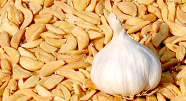 Garlic Flakes Manufacturers - Garon Dehydrates Pvt. Ltd.