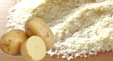 Potato Powder Manufacturers- Garon Dehydrates Pvt. Ltd.