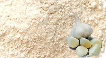 Garlic powder Manufacturers- Garon Dehydrates Pvt. Ltd.