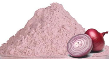 Red Onion Powder exporter in India- Garon Dehydrates Pvt. Ltd.
