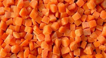 Freeze Dried Vegetables Carrot - Garon Dehydrates Pvt. Ltd.