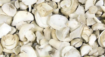 Freeze Dried - Vegetables Mushroom manufacturer