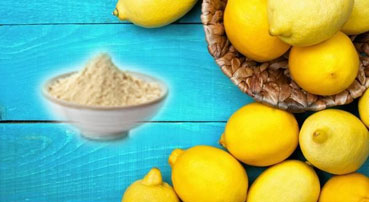 Lemon Powder Manufacturers in Indore